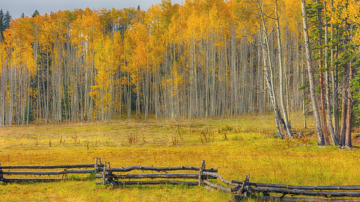 Recreational Land Management